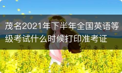 茂名2021年下半年全国英语等级考试什么时候打印准考证