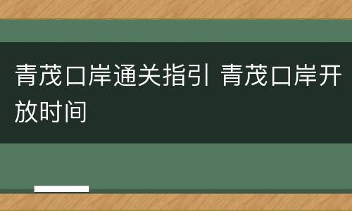 青茂口岸通关指引 青茂口岸开放时间