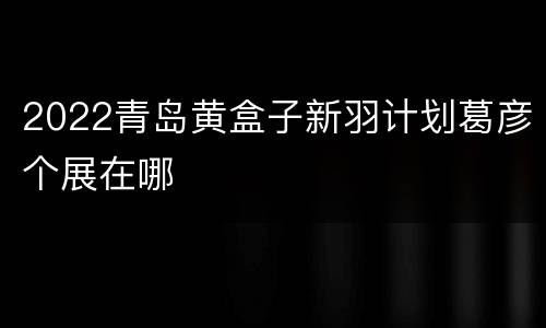 2022青岛黄盒子新羽计划葛彦个展在哪