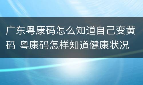 广东粤康码怎么知道自己变黄码 粤康码怎样知道健康状况