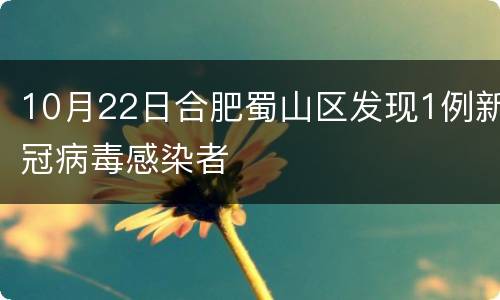10月22日合肥蜀山区发现1例新冠病毒感染者