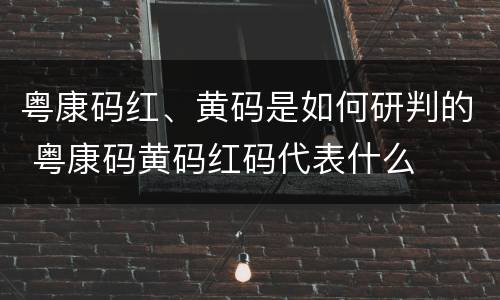 粤康码红、黄码是如何研判的 粤康码黄码红码代表什么