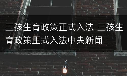 三孩生育政策正式入法 三孩生育政策正式入法中央新闻