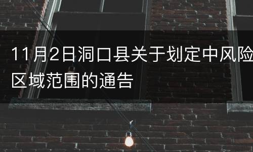 11月2日洞口县关于划定中风险区域范围的通告