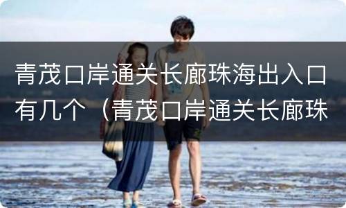 青茂口岸通关长廊珠海出入口有几个（青茂口岸通关长廊珠海出入口有几个门）