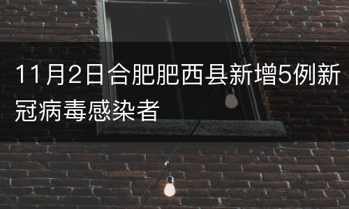 11月2日合肥肥西县新增5例新冠病毒感染者