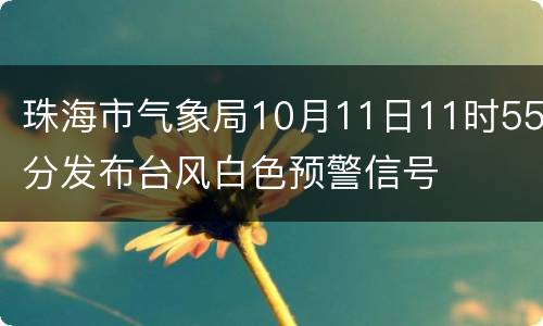珠海市气象局10月11日11时55分发布台风白色预警信号