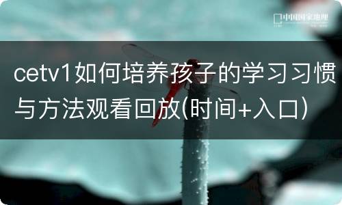cetv1如何培养孩子的学习习惯与方法观看回放(时间+入口)