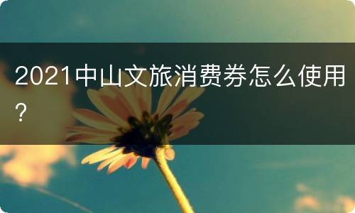 2021中山文旅消费券怎么使用?