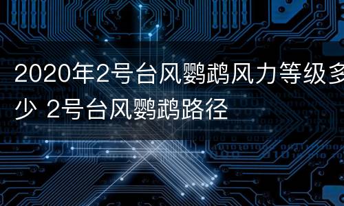 2020年2号台风鹦鹉风力等级多少 2号台风鹦鹉路径