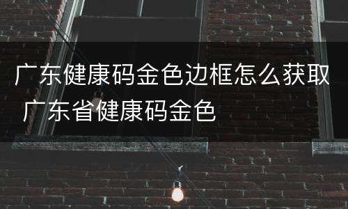 广东健康码金色边框怎么获取 广东省健康码金色