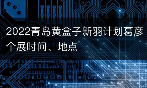 2022青岛黄盒子新羽计划葛彦个展时间、地点