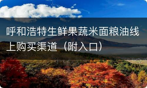 呼和浩特生鲜果蔬米面粮油线上购买渠道（附入口）