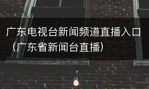 广东电视台新闻频道直播入口（广东省新闻台直播）