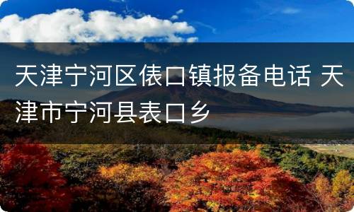 天津宁河区俵口镇报备电话 天津市宁河县表口乡