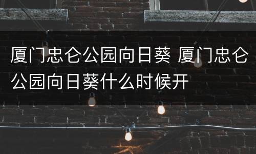 厦门忠仑公园向日葵 厦门忠仑公园向日葵什么时候开
