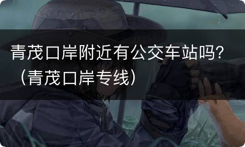 青茂口岸附近有公交车站吗？（青茂口岸专线）