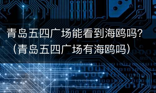 青岛五四广场能看到海鸥吗？（青岛五四广场有海鸥吗）
