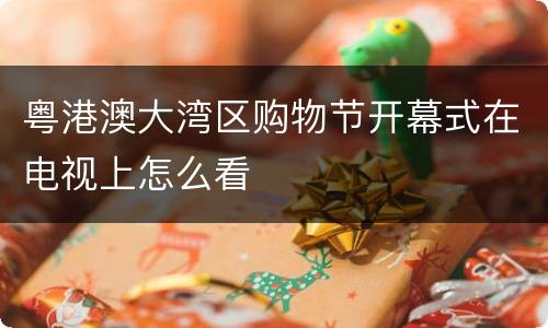 粤港澳大湾区购物节开幕式在电视上怎么看