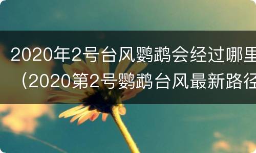 2020年2号台风鹦鹉会经过哪里（2020第2号鹦鹉台风最新路径消息）