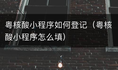 粤核酸小程序如何登记（粤核酸小程序怎么填）