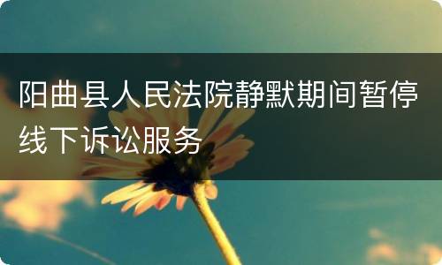 阳曲县人民法院静默期间暂停线下诉讼服务