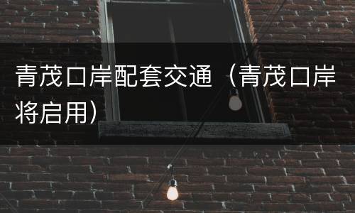 青茂口岸配套交通（青茂口岸将启用）