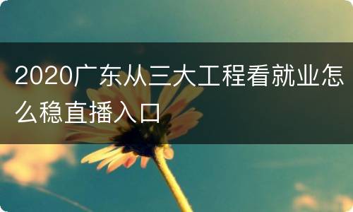 2020广东从三大工程看就业怎么稳直播入口