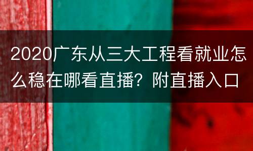 2020广东从三大工程看就业怎么稳在哪看直播？附直播入口