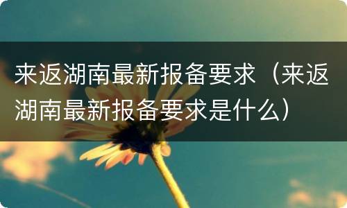 来返湖南最新报备要求（来返湖南最新报备要求是什么）