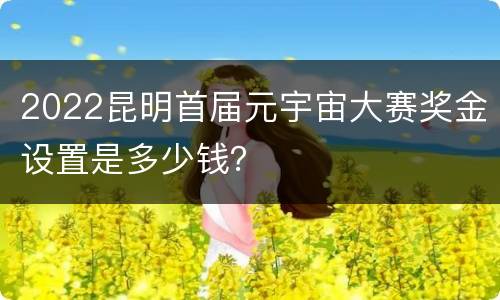 2022昆明首届元宇宙大赛奖金设置是多少钱？