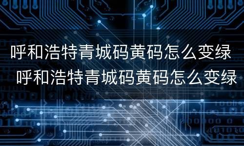 呼和浩特青城码黄码怎么变绿 呼和浩特青城码黄码怎么变绿码