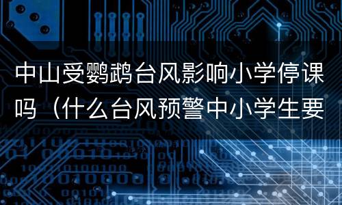 中山受鹦鹉台风影响小学停课吗（什么台风预警中小学生要停课）