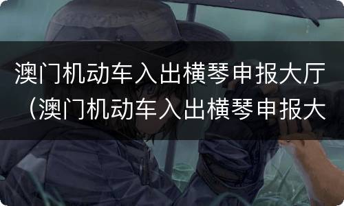 澳门机动车入出横琴申报大厅（澳门机动车入出横琴申报大厅上班时间）
