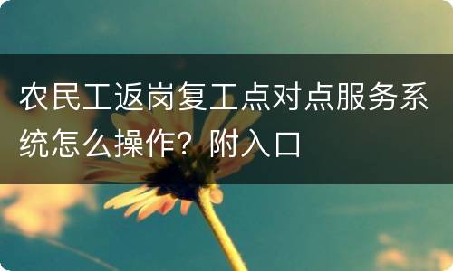 农民工返岗复工点对点服务系统怎么操作？附入口