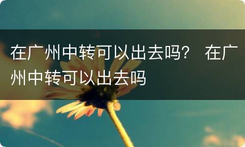 在广州中转可以出去吗？ 在广州中转可以出去吗