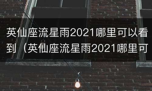英仙座流星雨2021哪里可以看到（英仙座流星雨2021哪里可以看到南方）