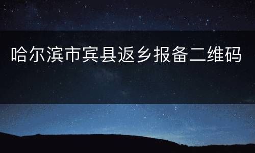 哈尔滨市宾县返乡报备二维码