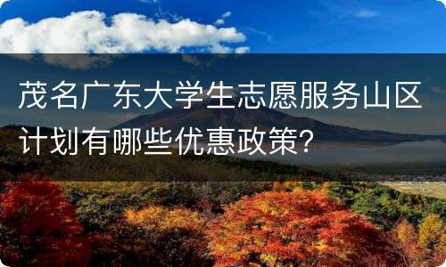 茂名广东大学生志愿服务山区计划有哪些优惠政策？
