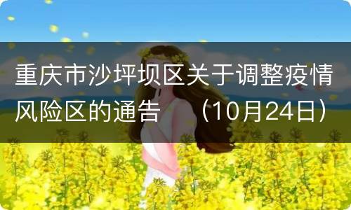 重庆市沙坪坝区关于调整疫情风险区的通告​（10月24日）