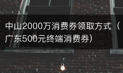 中山2000万消费券领取方式（广东500元终端消费券）