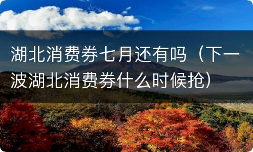 湖北消费券七月还有吗（下一波湖北消费券什么时候抢）