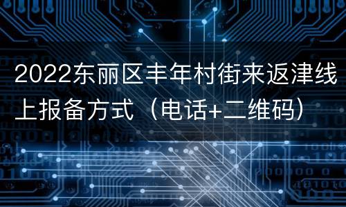 2022东丽区丰年村街来返津线上报备方式（电话+二维码）