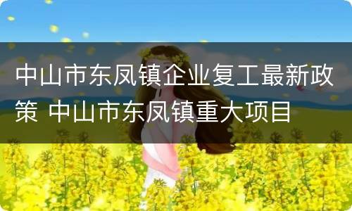中山市东凤镇企业复工最新政策 中山市东凤镇重大项目