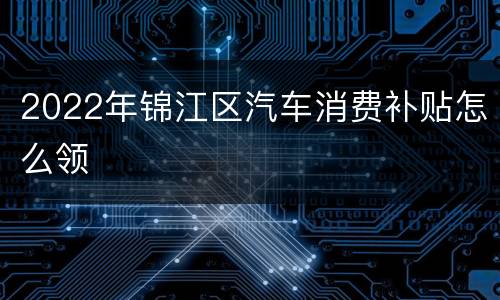 2022年锦江区汽车消费补贴怎么领