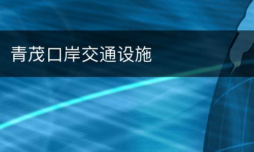 青茂口岸交通设施
