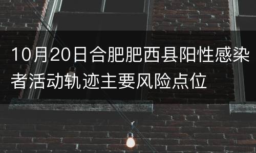 10月20日合肥肥西县阳性感染者活动轨迹主要风险点位
