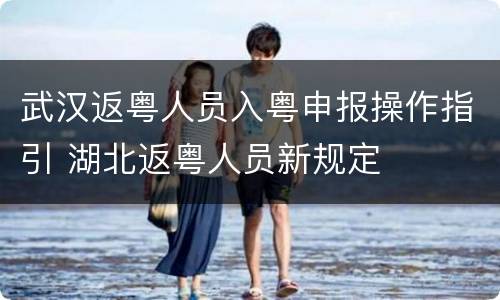 武汉返粤人员入粤申报操作指引 湖北返粤人员新规定