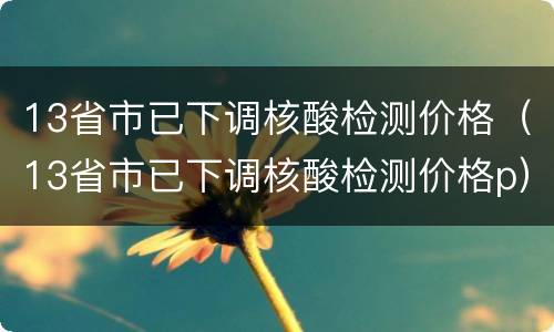 13省市已下调核酸检测价格（13省市已下调核酸检测价格p）
