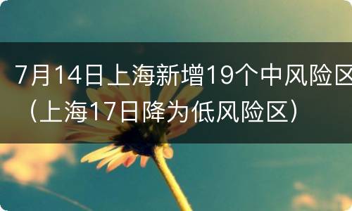 7月14日上海新增19个中风险区（上海17日降为低风险区）